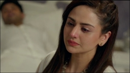 Banni Cow Home Delivery - 10th Aug 2022